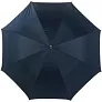  Automatic umbrella