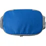  Cooler bag