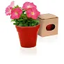 Flower pot, 5-8 petunia seeds and soil