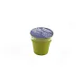  Flower pot, 5-8 petunia seeds and soil