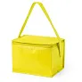  Cooler bag