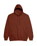  COLLEGE HOODICA - Just Hoods