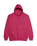  COLLEGE HOODICA - Just Hoods