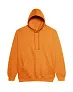  COLLEGE HOODICA - Just Hoods