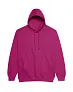  COLLEGE HOODICA - Just Hoods