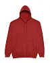  COLLEGE HOODICA - Just Hoods