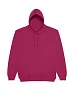  COLLEGE HOODICA - Just Hoods