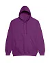  COLLEGE HOODICA - Just Hoods