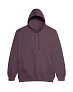  COLLEGE HOODICA - Just Hoods