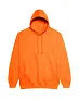  COLLEGE HOODICA - Just Hoods