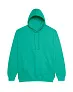  COLLEGE HOODICA - Just Hoods
