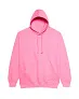  COLLEGE HOODICA - Just Hoods