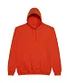  COLLEGE HOODICA - Just Hoods