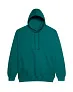  COLLEGE HOODICA - Just Hoods