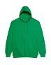  COLLEGE HOODICA - Just Hoods