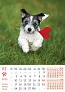  "PSI i MAČKE" color calendar