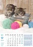  "PSI i MAČKE" color calendar