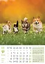  "PSI i MAČKE" color calendar