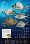  "S RIBARNICE" color calendar