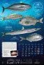 "S RIBARNICE" color calendar