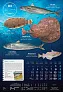  "S RIBARNICE" color calendar