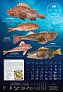  "S RIBARNICE" color calendar
