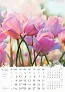  "CVIJEĆE" color kalendar