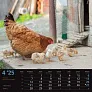  "SEOSKA IDILA" color calendar