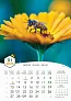 "PČELE" color kalendar