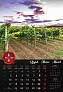  "VINO" color kalendar