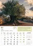  "MASLINE" color kalendar