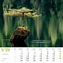  "ČARI PRIRODE" color kalendar