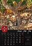  "VINO" color kalendar