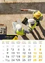  "S GRADILIŠTA" color kalendar