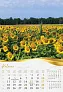  "MOJA ZLATNA SLAVONIJA i BARANJA"  color kalendar