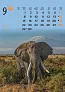 "ŽIVOTINJE" color kalendar