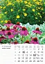  "VRTOVI" color calendar