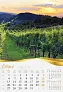  "MOJA ZLATNA SLAVONIJA i BARANJA"  color kalendar