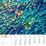  "ČARI PRIRODE" color kalendar