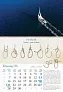  "GROPOVI" color calendar