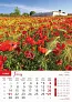  "PRIRODA" color kalendar