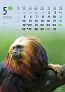  "ŽIVOTINJE" color kalendar