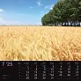  "SEOSKA IDILA" color calendar