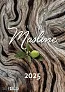  "MASLINE" color kalendar