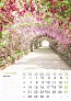  "VRTOVI" color calendar