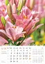  "CVIJEĆE" color kalendar