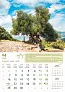  "MASLINE" color kalendar