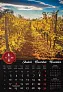  "VINO" color kalendar