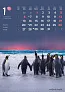 "ŽIVOTINJE" color kalendar