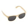 Adam Sunglasses B'RIGHT